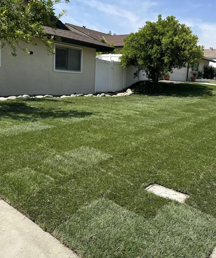 Expert outdoor landscaping in Tampa, FL by Don Chulos Landscaping