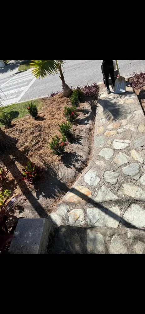 Custom lawn care service in Tampa, FL - Don Chulos Landscaping