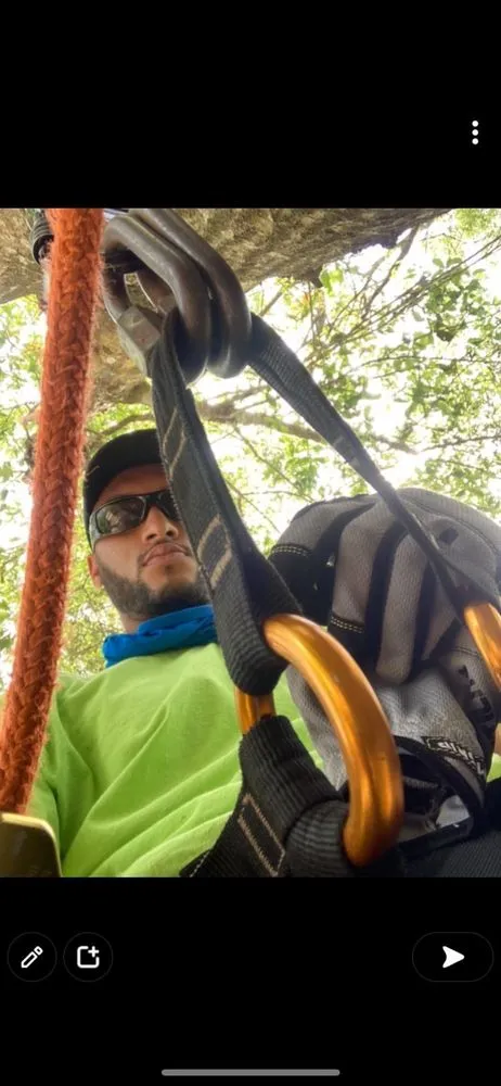 Top-rated residential landscaping experts serving Tampa, FL - Don Chulos Landscaping