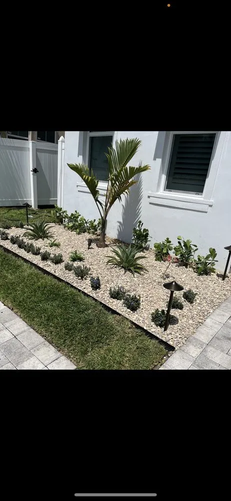 Custom yard cleanup service experts serving Tampa, FL - Don Chulos Landscaping