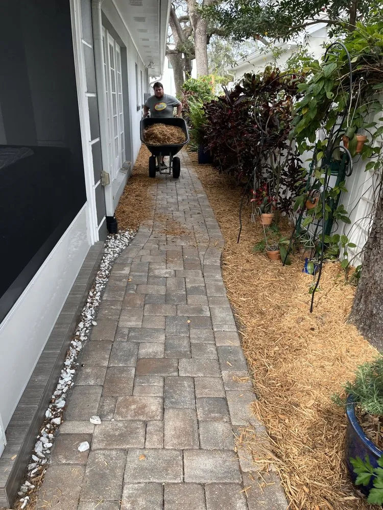 Professional landscape design in Tampa, FL - Don Chulos Landscaping