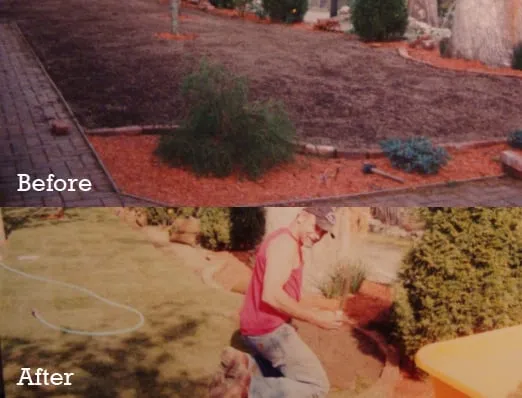 Local yard cleanup service experts serving Stonington, CT - Don Crawford Landscaping