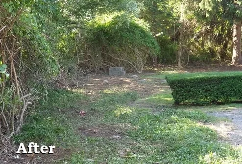 Local lawn care service in Stonington, CT - Don Crawford Landscaping