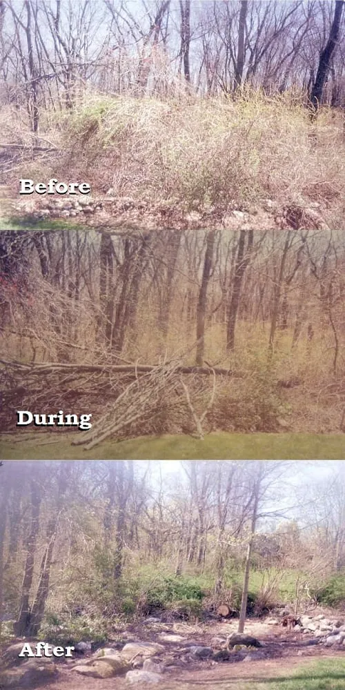 Professional landscape installation with custom design in Stonington, CT by Don Crawford Landscaping