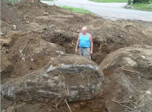 Reliable yard maintenance for beautiful yards across Stonington, CT - Don Crawford Landscaping