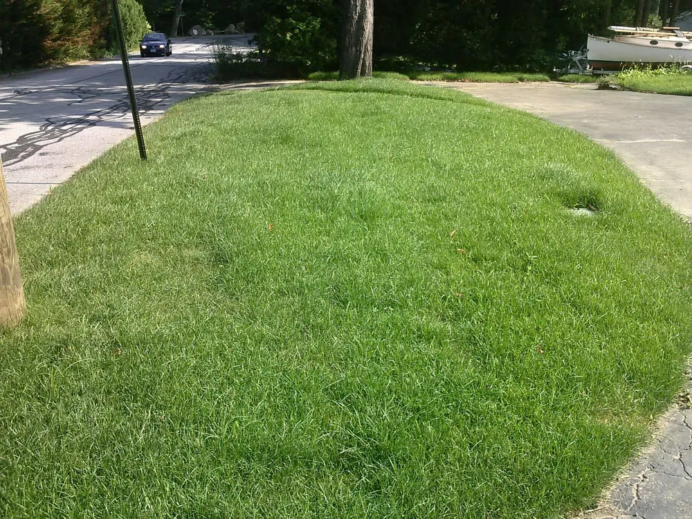 Top-rated lawn care service experts serving Stonington, CT - Don Crawford Landscaping