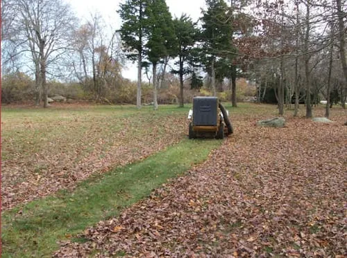 Expert yard maintenance experts serving Stonington, CT - Don Crawford Landscaping