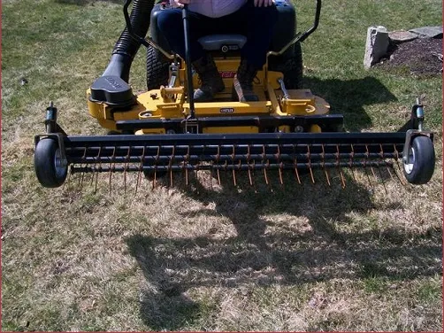 Trusted yard maintenance for year-round maintenance across Stonington, CT - Don Crawford Landscaping