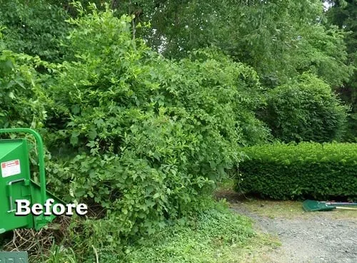 Reliable outdoor landscaping experts serving Stonington, CT - Don Crawford Landscaping