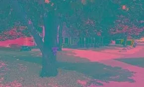 Top-rated landscape design in Saint Cloud, MN - Don Green's Dirt Service