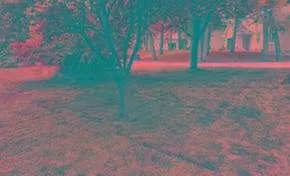 Top-rated landscaping services for beautiful yards in Saint Cloud, MN by Don Green's Dirt Service