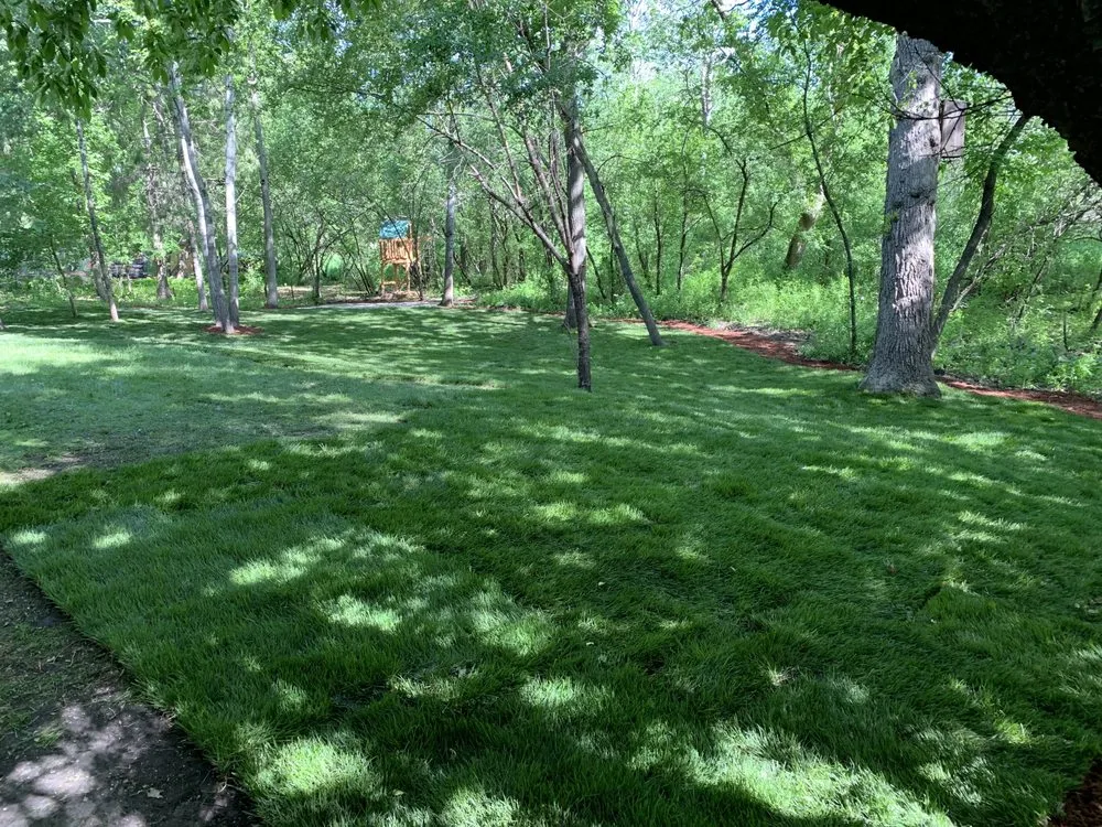 Expert residential landscaping experts serving Saint Cloud, MN - Don Green's Dirt Service