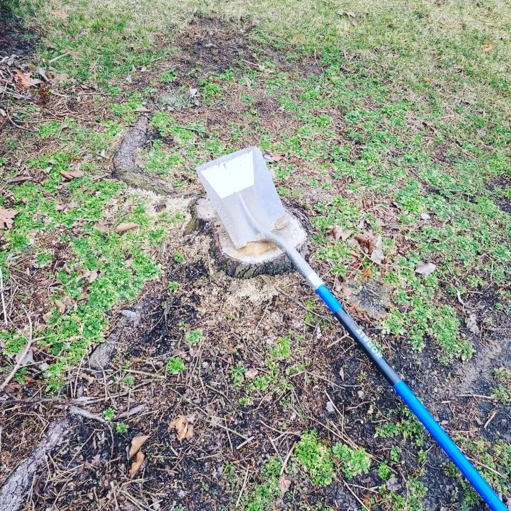 Trusted outdoor landscaping for homes across Dayton, OH - Don Hunter Stump Removal