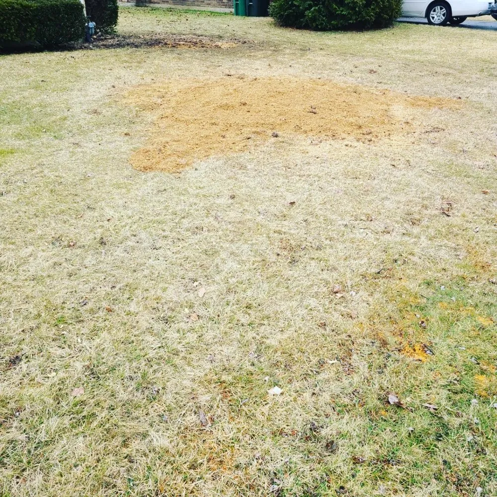 Custom residential landscaping in Dayton, OH by Don Hunter Stump Removal