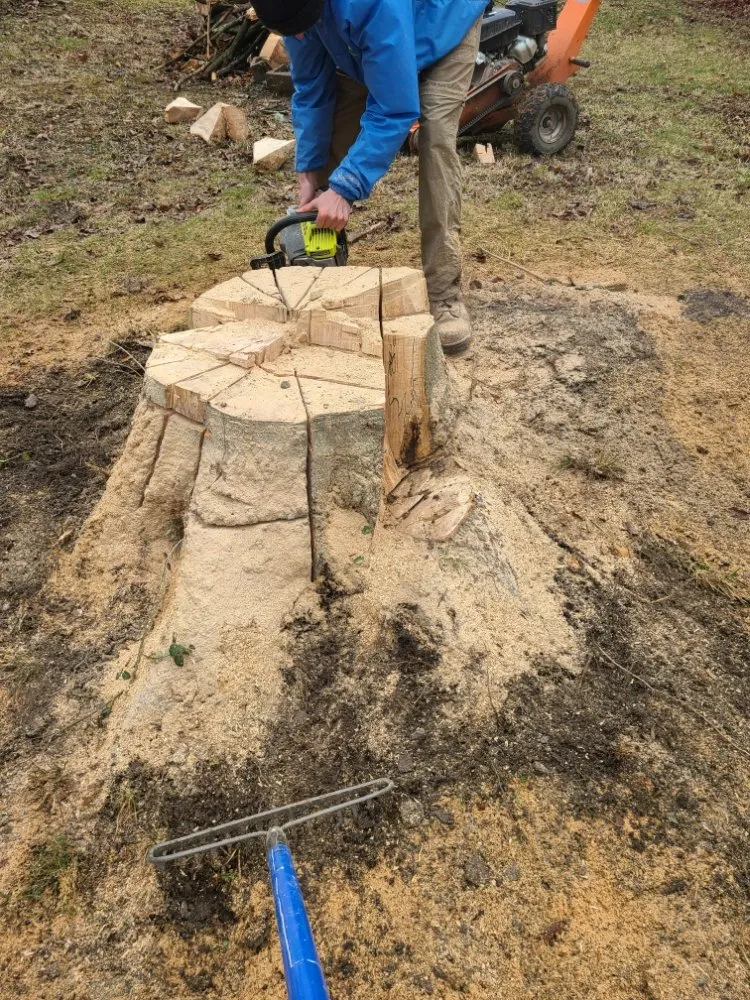 Affordable lawn mowing service experts serving Dayton, OH - Don Hunter Stump Removal