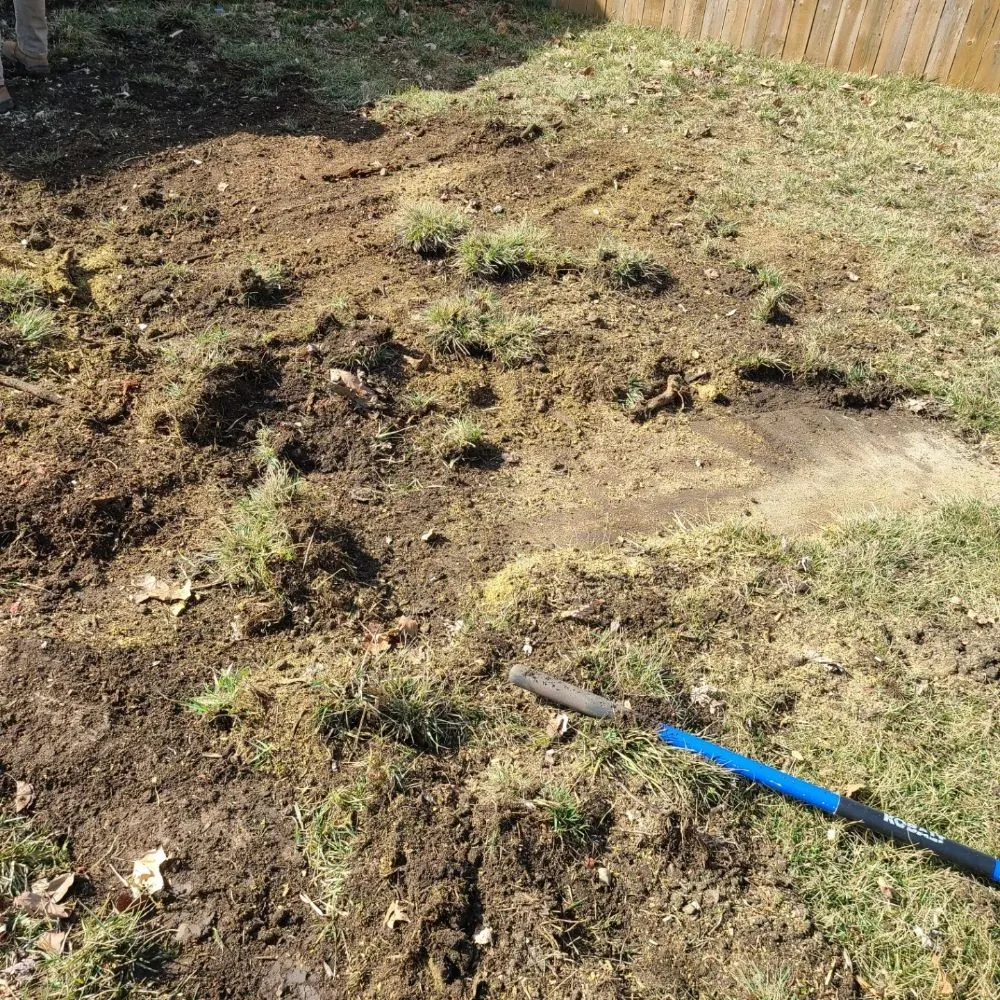 Trusted residential landscaping for beautiful yards in Dayton, OH by Don Hunter Stump Removal