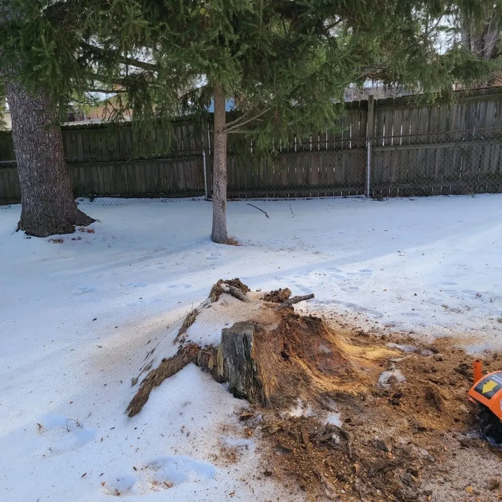 Reliable lawn care service in Dayton, OH - Don Hunter Stump Removal