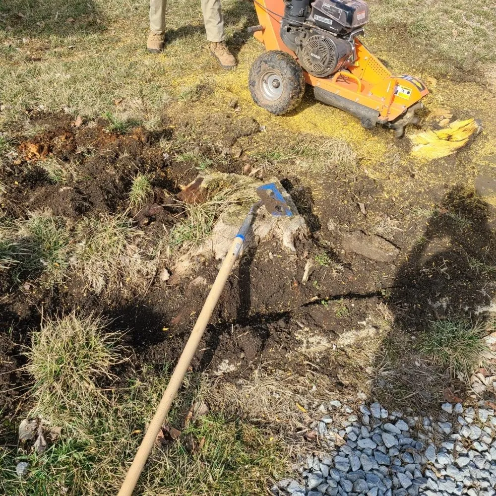 Local yard cleanup service for year-round maintenance across Dayton, OH - Don Hunter Stump Removal