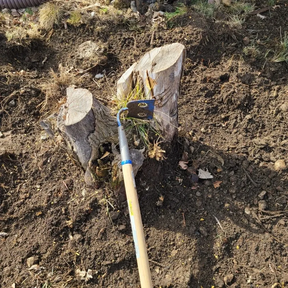 Expert landscape design with custom design in Dayton, OH by Don Hunter Stump Removal