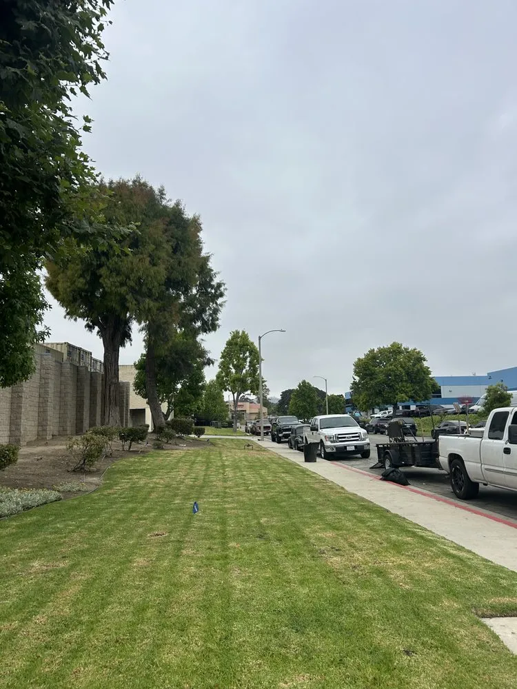 Professional outdoor landscaping for homes across Oxnard, CA - Don Javi’s Tree Service