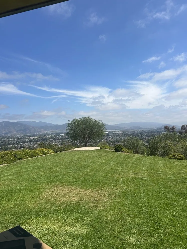 Custom yard maintenance in Oxnard, CA by Don Javi’s Tree Service