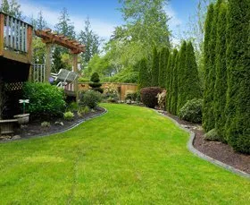 Local yard cleanup service for outdoor upgrades in Visalia, CA by Don Jose Lawn Service