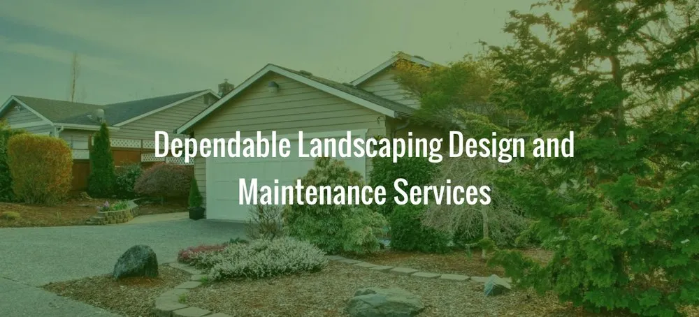 Trusted lawn care service for homes in Visalia, CA by Don Jose Lawn Service