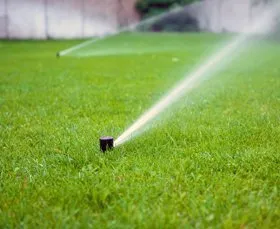 Professional outdoor landscaping for residential properties in Visalia, CA by Don Jose Lawn Service