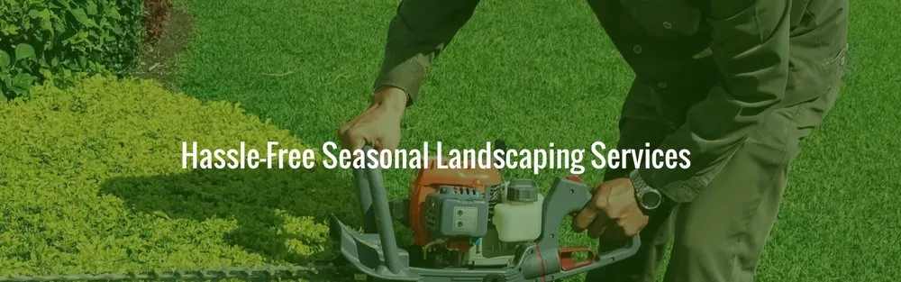 Affordable residential landscaping for outdoor upgrades across Visalia, CA - Don Jose Lawn Service