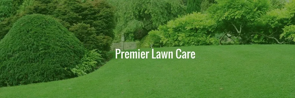 Expert outdoor landscaping for homes across Visalia, CA - Don Jose Lawn Service