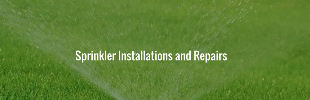 Trusted lawn mowing service in Visalia, CA by Don Jose Lawn Service