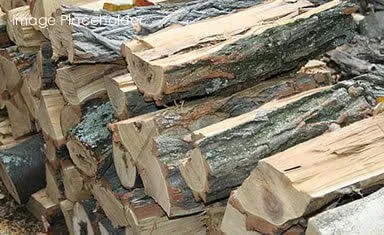 Trusted landscaping services in Fort Bragg, CA by Don Juan Landscaping and Design