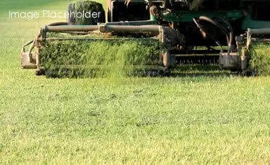 Local lawn mowing service experts serving Fort Bragg, CA - Don Juan Landscaping and Design