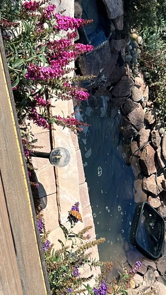 Trusted yard cleanup service in Sheridan, CO by Don Julio Landscape