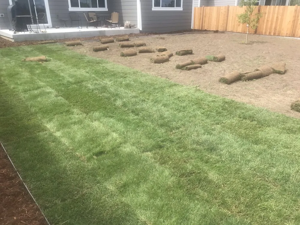 Custom yard maintenance in Sheridan, CO - Don Julio Landscape