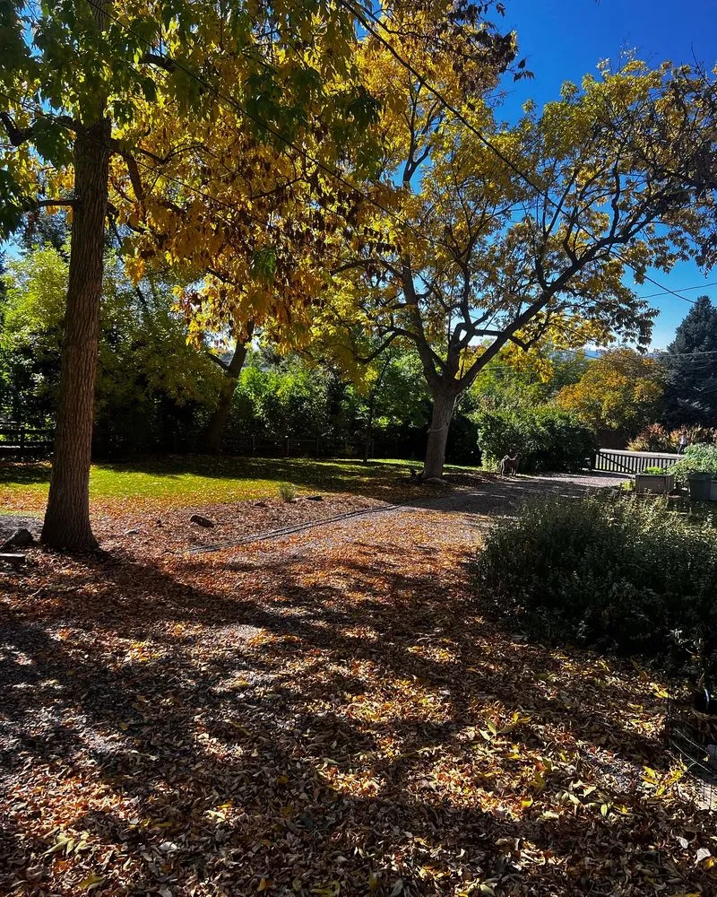 Expert lawn care service in Sheridan, CO - Don Julio Landscape