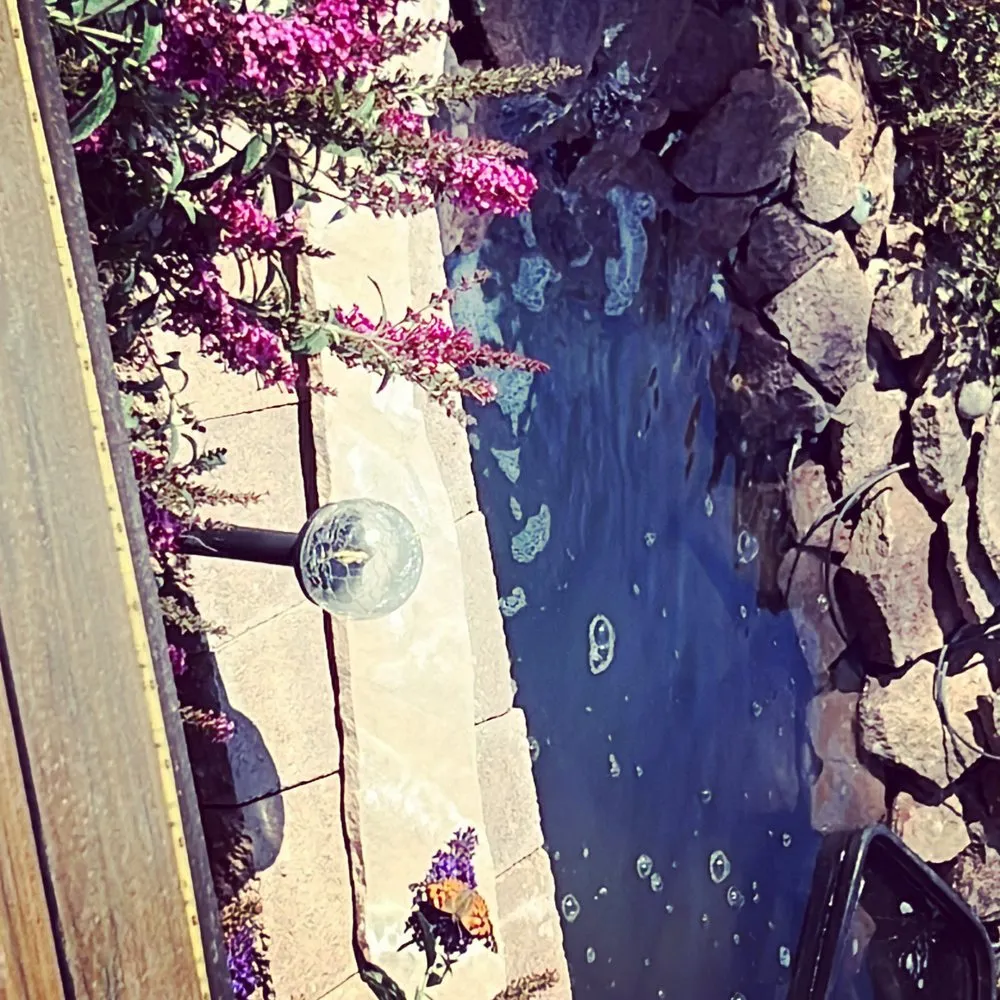 Affordable yard maintenance for residential properties across Sheridan, CO - Don Julio Landscape