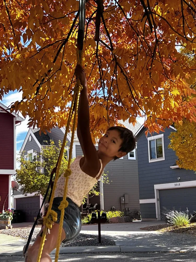 Top-rated residential landscaping in Sheridan, CO by Don Julio Landscape