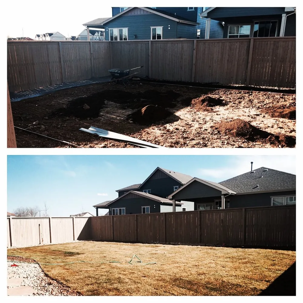 Top-rated lawn care service experts serving Erie, CO - Don King Landscaping