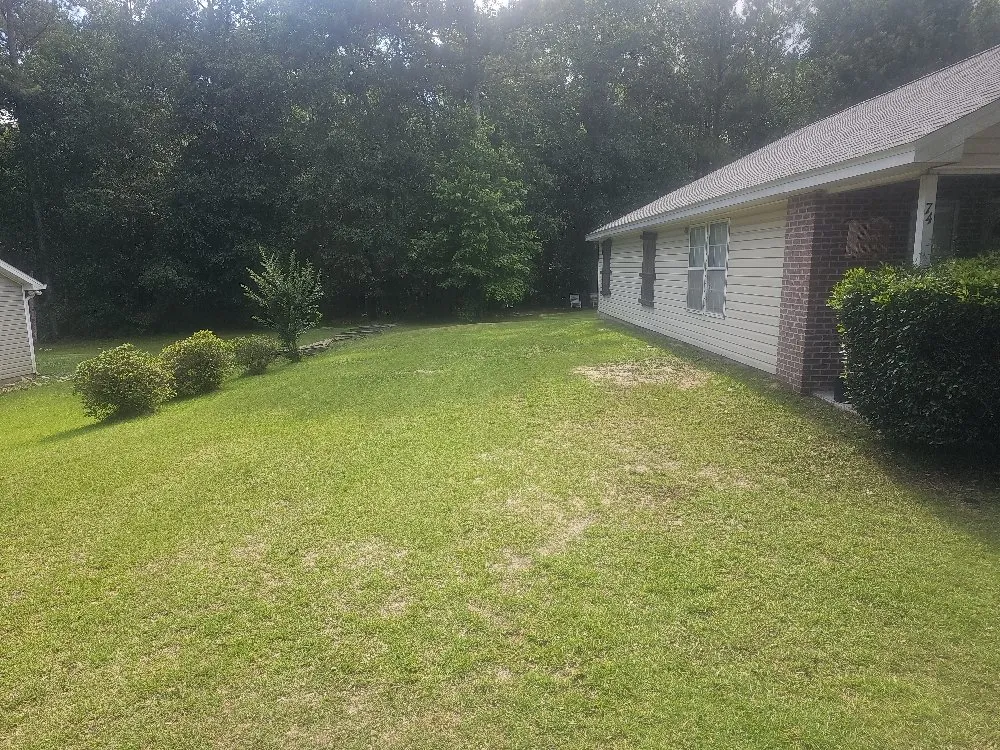 Affordable landscape design for homes in White Springs, FL by Don Landscape