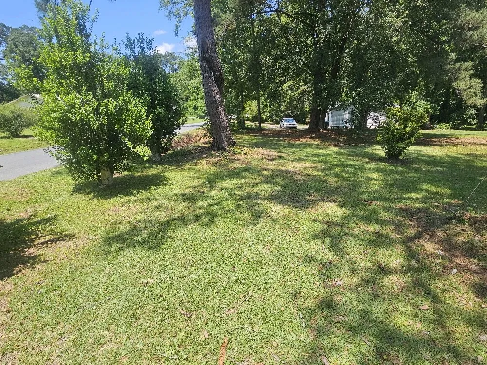 Professional yard maintenance in White Springs, FL - Don Landscape