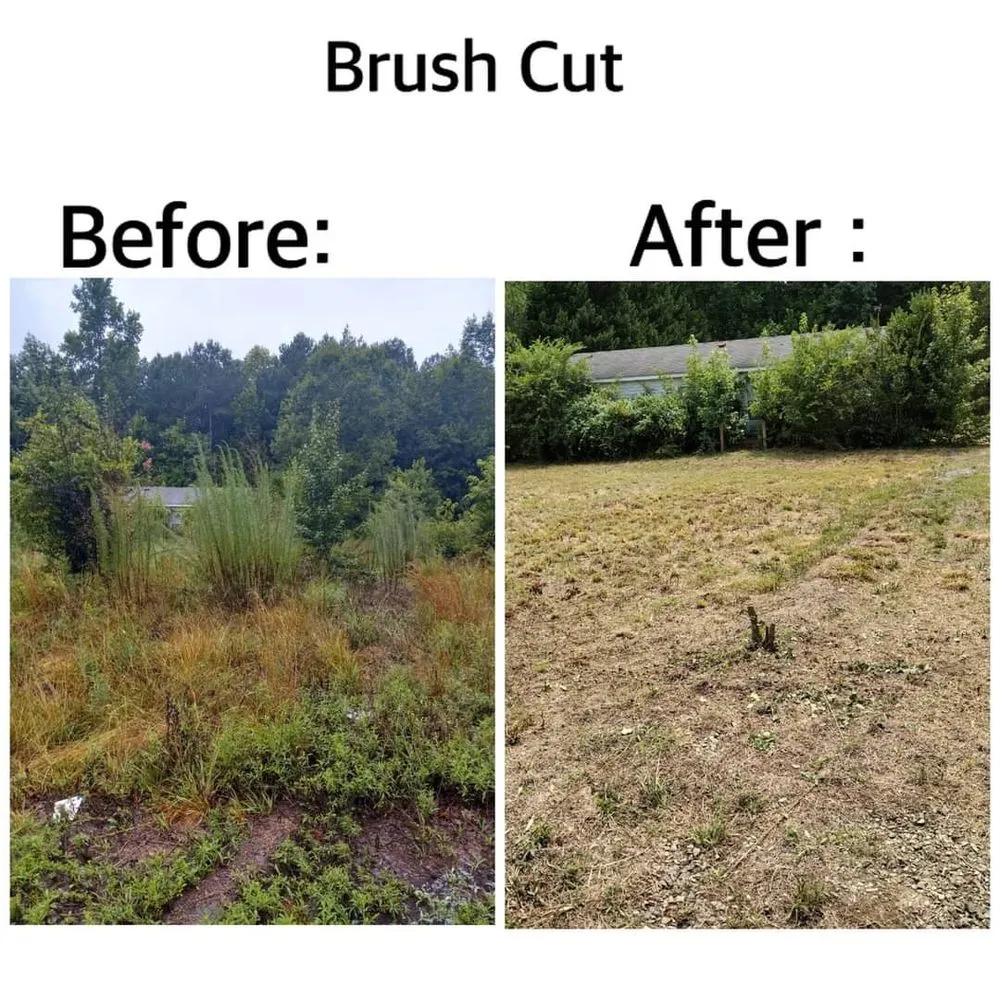 Affordable garden landscaping in Clayton, NC - Don Landscaping