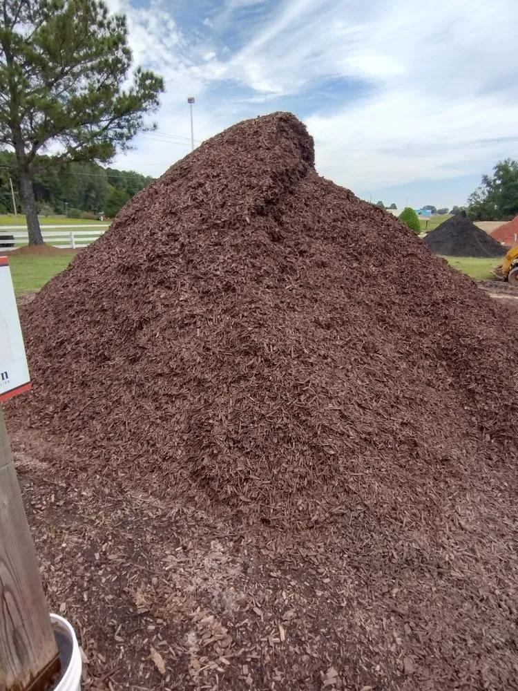 Custom landscape installation for year-round maintenance across Clayton, NC - Don Landscaping