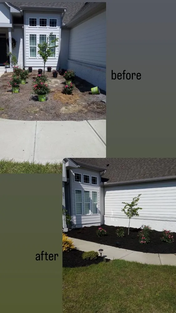 Affordable yard maintenance experts serving Clayton, NC - Don Landscaping
