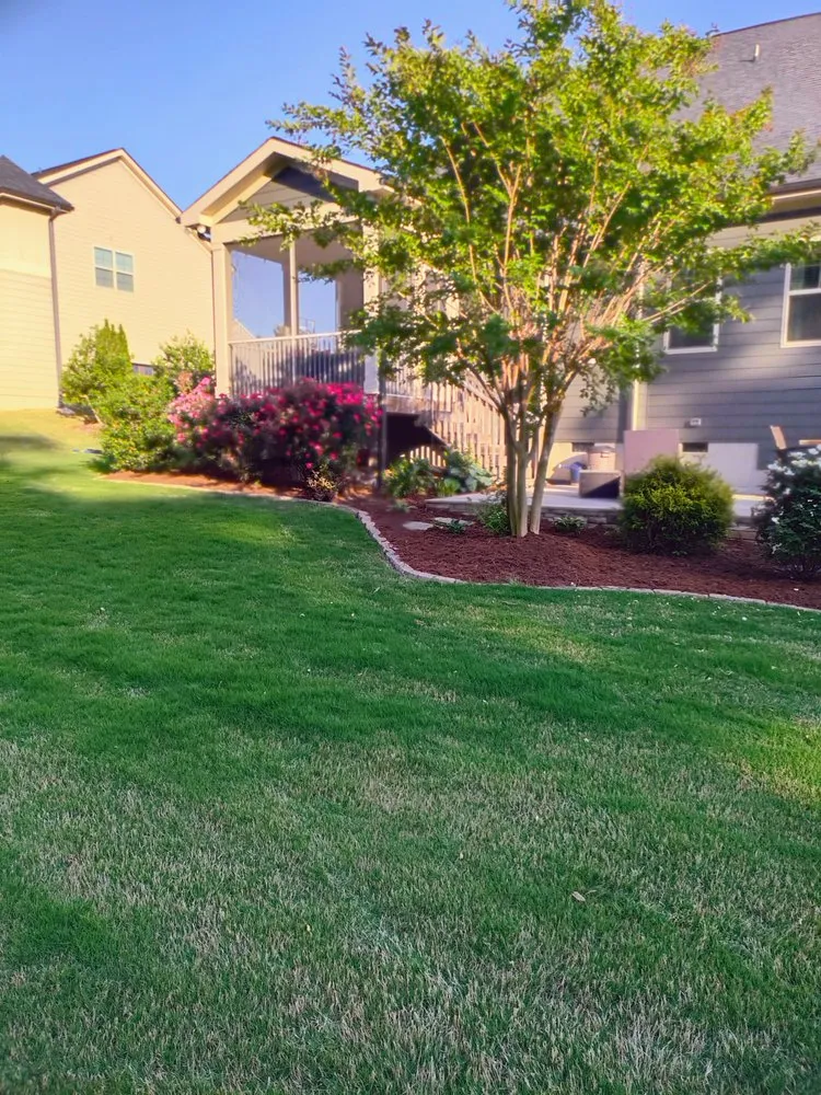 Affordable yard cleanup service in Clayton, NC by Don Landscaping