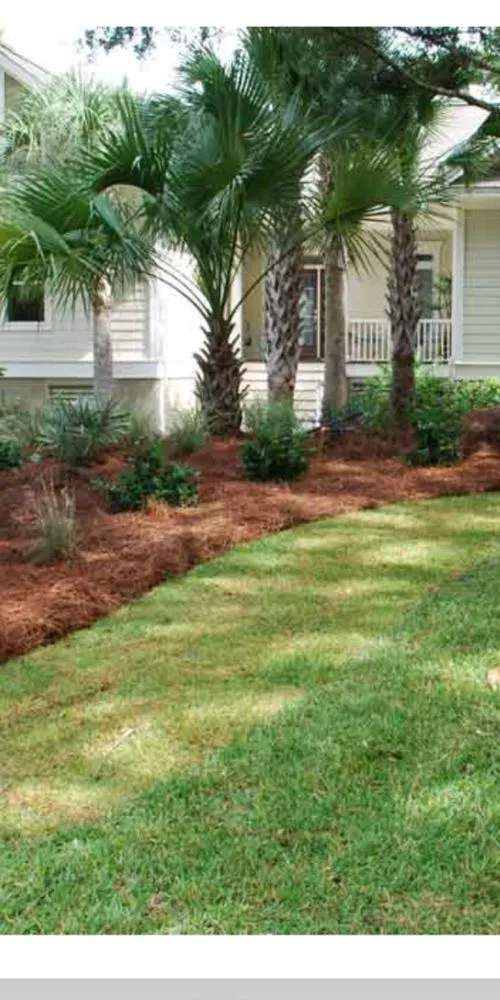 Reliable landscaping services in Clayton, NC - Don Landscaping