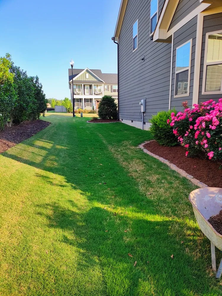 Trusted yard maintenance near you in Clayton, NC by Don Landscaping