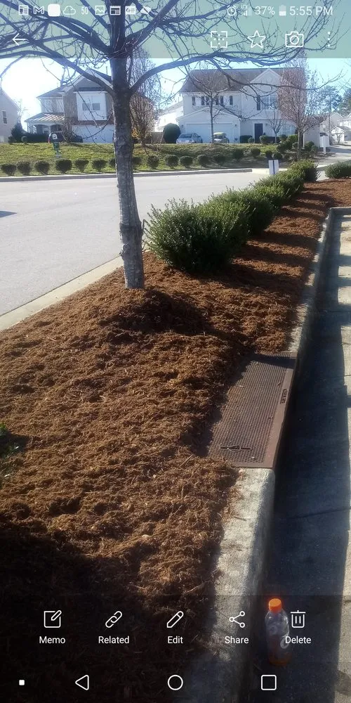 Professional outdoor landscaping in Clayton, NC - Don Landscaping