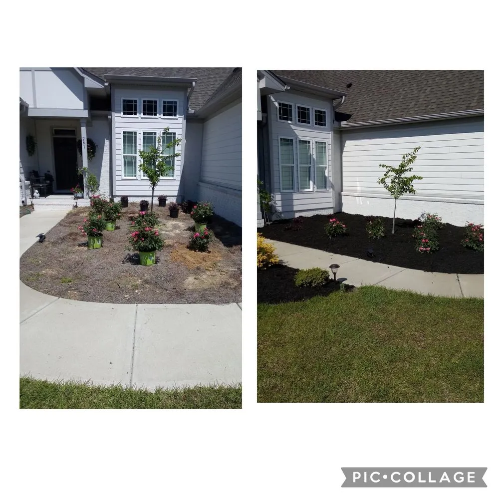 Affordable yard maintenance in Clayton, NC by Don Landscaping