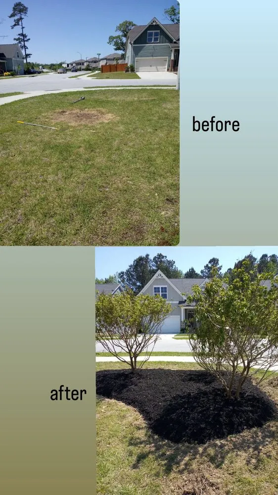 Expert lawn mowing service with custom design in Clayton, NC by Don Landscaping
